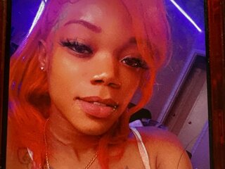 Discover LacieFlex VIP show